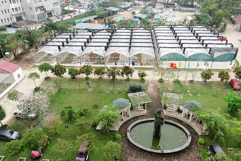 Hệ thống tưới phun sương ứng dụng công nghệ cao