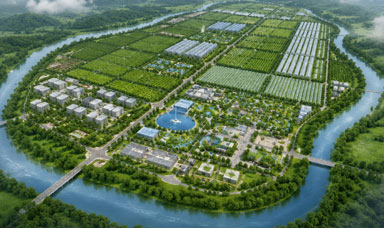 Quy hoạch tổng thể dự án nông nghiệp quy mô lớn